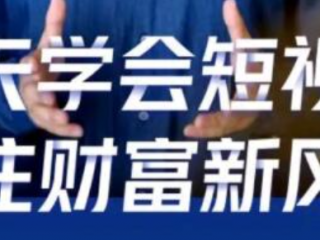 抖音百万网红鹤老师新课·短视频财富课（价值299）