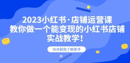 2023小红书·店铺运营课，教你做一个能变现的小红书店铺，20节-实战教学-第1张图片-小彬网