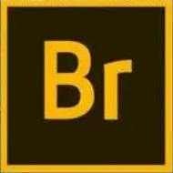 Adobe Bridge 2017 SP 绿色直装版-第1张图片-小彬网