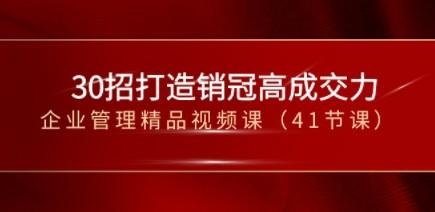 30招-打造销冠高成交力-企业管理精品视频课（41节课）-第1张图片-小彬网